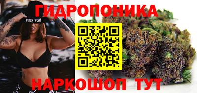 spice Керчь
