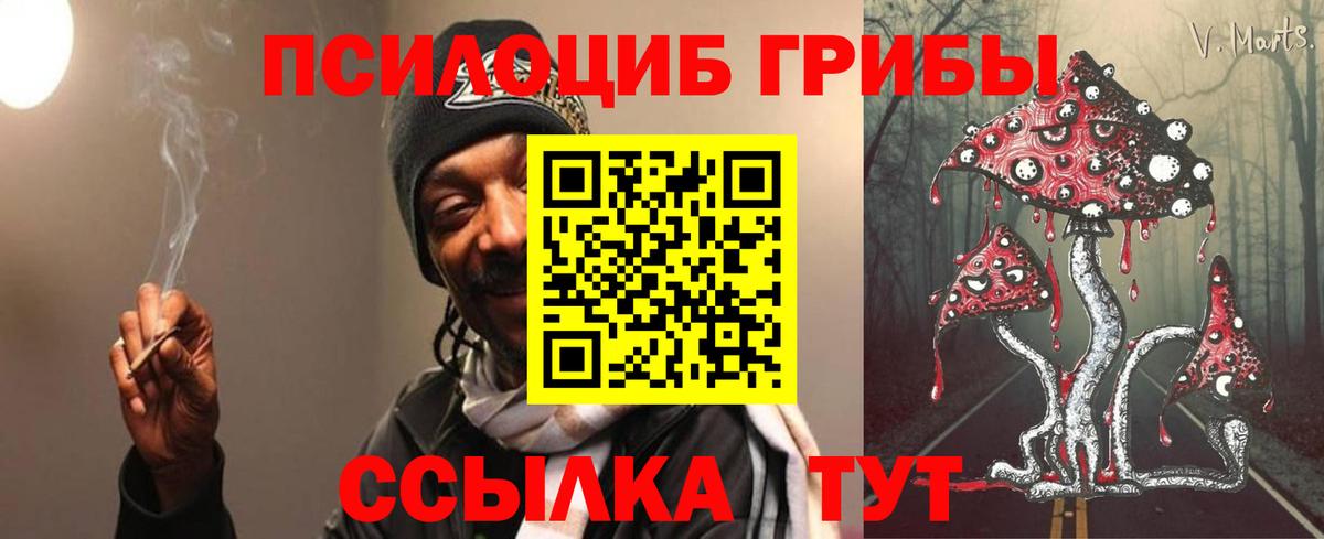 Галлюциногенные грибы прущие грибы Белорецк