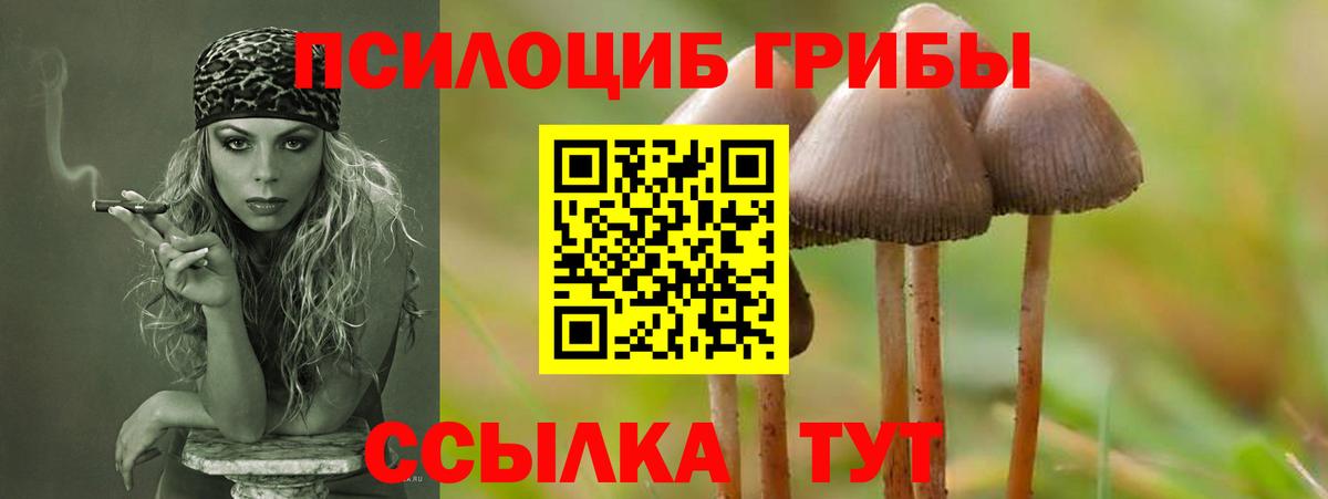 Псилоцибиновые грибы Cubensis  Вход с VPN  Белорецк  Псилоцибиновые грибы Magic Shrooms 